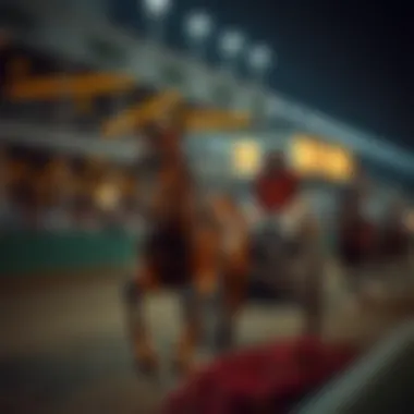 Magnificent Exploring Plainridge Harness Racing: A Comprehensive Overview