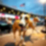 A Comprehensive Guide to Greyhound Betting Sites Introduction