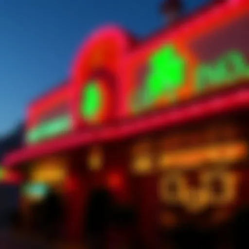 Vibrant Neon Lights of Lucky Shamrock Casino Exterior view of Lucky Shamrock Casino showcasing vibrant neon lights