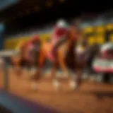 Visual representation of horse racing odds